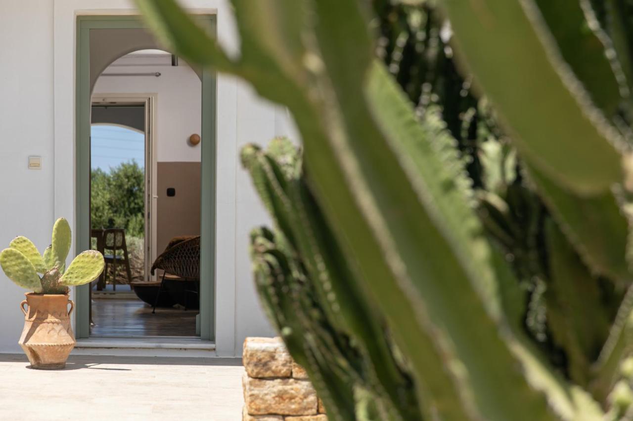 Naxos Euphoria Suites Stelida  Extérieur photo